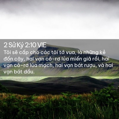 Picture 02 - 2 Sử Ký 2:10 VIE - Tôi sẽ cấp cho các tôi tớ vua, là - Bible Verse Picture