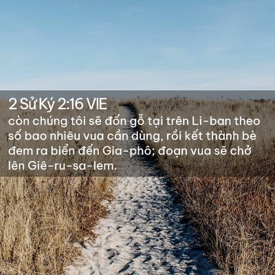 Picture 02 - 2 Sử Ký 2:16 VIE - còn chúng tôi sẽ đốn gỗ tại trên - Bible Verse Picture