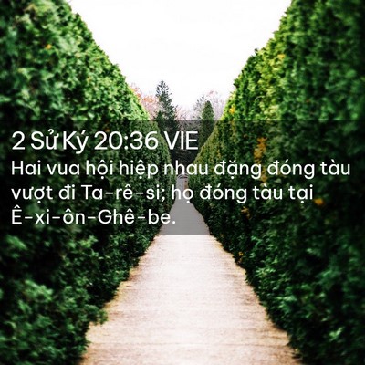 Picture 02 - 2 Sử Ký 20:36 VIE - Hai vua hội hiệp nhau đặng đóng tàu - Bible Verse Picture