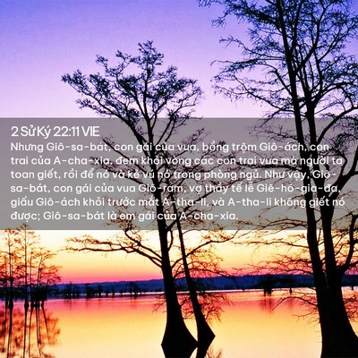 Picture 02 - 2 Sử Ký 22:11 VIE - Nhưng Giô-sa-bát, con gái của vua, bồng - Bible Verse Picture
