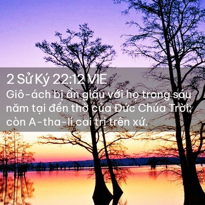Picture 02 - 2 Sử Ký 22:12 VIE - Giô-ách bị ẩn giấu với họ trong sáu - Bible Verse Picture