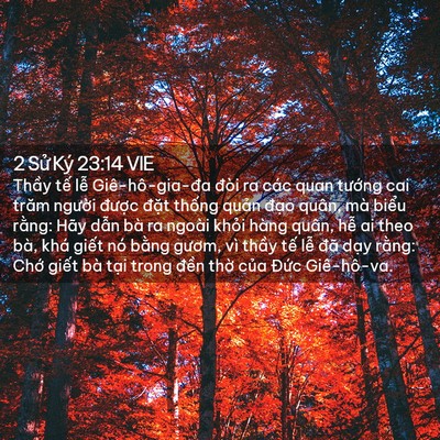 Picture 02 - 2 Sử Ký 23:14 VIE - Thầy tế lễ Giê-hô-gia-đa đòi ra các - Bible Verse Picture