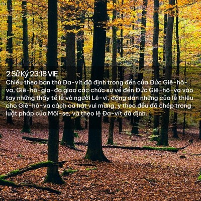 Picture 02 - 2 Sử Ký 23:18 VIE - Chiếu theo ban thứ Đa-vít đã định - Bible Verse Picture