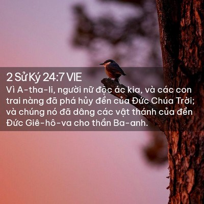 Picture 02 - 2 Sử Ký 24:7 VIE - Vì A-tha-li, người nữ độc ác kia, và - Bible Verse Picture