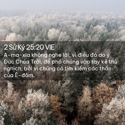 Picture 02 - 2 Sử Ký 25:20 VIE - A-ma-xia không nghe lời, vì điều đó do - Bible Verse Picture