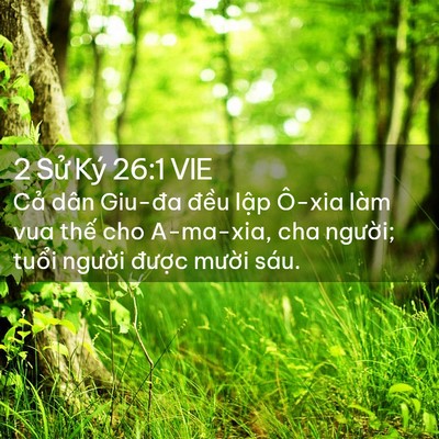Picture 02 - 2 Sử Ký 26:1 VIE - Cả dân Giu-đa đều lập Ô-xia làm vua - Bible Verse Picture