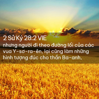 Picture 02 - 2 Sử Ký 28:2 VIE - nhưng người đi theo đường lối của - Bible Verse Picture