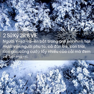 Picture 02 - 2 Sử Ký 28:8 VIE - Người Y-sơ-ra-ên bắt trong anh em mình - Bible Verse Picture