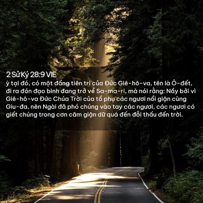 Picture 02 - 2 Sử Ký 28:9 VIE - ỳ tại đó, có một đấng tiên tri của - Bible Verse Picture