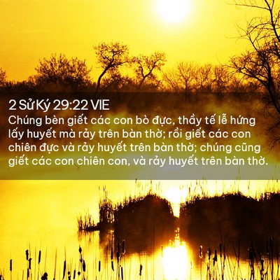 Picture 02 - 2 Sử Ký 29:22 VIE - Chúng bèn giết các con bò đực, thầy - Bible Verse Picture