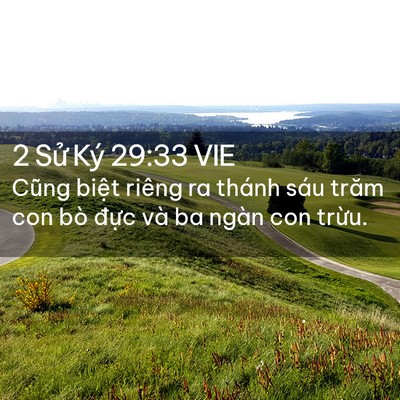 Picture 02 - 2 Sử Ký 29:33 VIE - Cũng biệt riêng ra thánh sáu trăm con bò - Bible Verse Picture