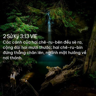 Picture 02 - 2 Sử Ký 3:13 VIE - Các cánh của hai chê-ru-bên đều sè ra, - Bible Verse Picture