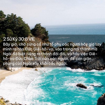 Picture 02 - 2 Sử Ký 30:8 VIE - Bây giờ, chớ cứng cổ như tổ phụ - Bible Verse Picture