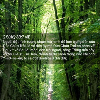 Picture 02 - 2 Sử Ký 33:7 VIE - Người đặt hình tượng chạm mà mình - Bible Verse Picture