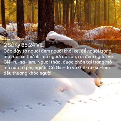 Picture 02 - 2 Sử Ký 35:24 VIE - Các đầy tớ người đem người khỏi - Bible Verse Picture