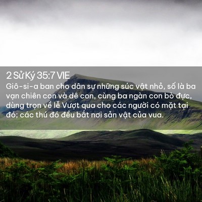 Picture 02 - 2 Sử Ký 35:7 VIE - Giô-si-a ban cho dân sự những súc vật - Bible Verse Picture