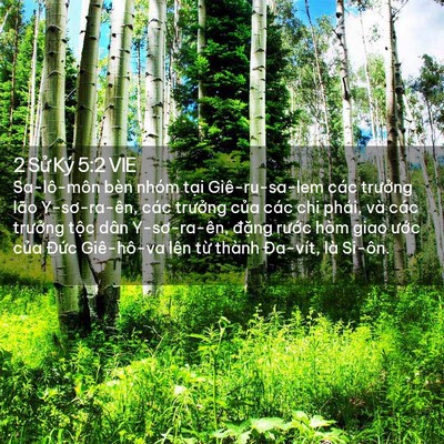 Picture 02 - 2 Sử Ký 5:2 VIE - Sa-lô-môn bèn nhóm tại Giê-ru-sa-lem các - Bible Verse Picture