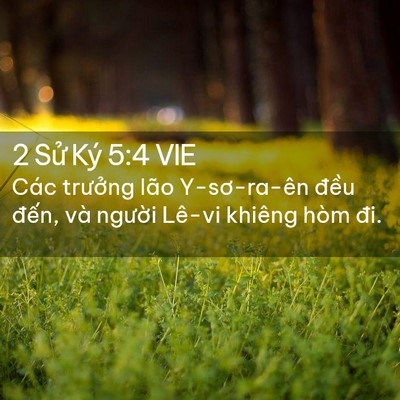 Picture 02 - 2 Sử Ký 5:4 VIE - Các trưởng lão Y-sơ-ra-ên đều đến, - Bible Verse Picture