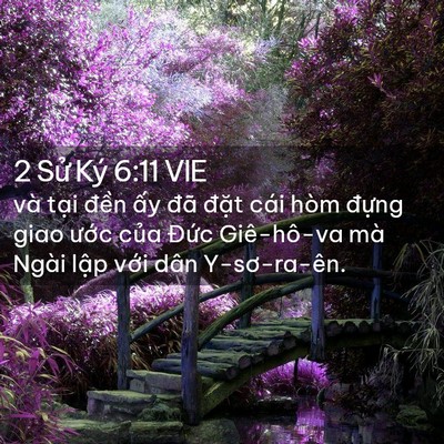 Picture 02 - 2 Sử Ký 6:11 VIE - và tại đền ấy đã đặt cái hòm - Bible Verse Picture