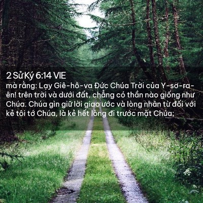 Picture 02 - 2 Sử Ký 6:14 VIE - mà rằng: Lạy Giê-hô-va Đức Chúa Trời - Bible Verse Picture