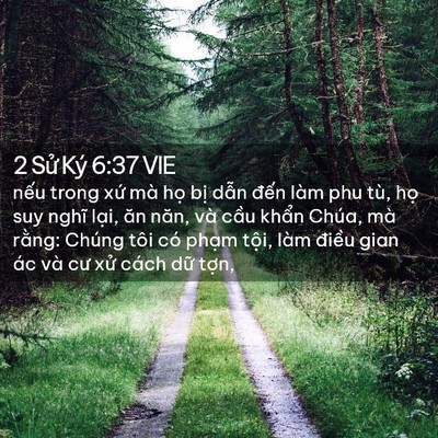 Picture 02 - 2 Sử Ký 6:37 VIE - nếu trong xứ mà họ bị dẫn đến làm - Bible Verse Picture