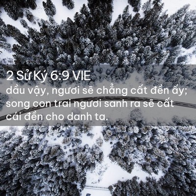 Picture 02 - 2 Sử Ký 6:9 VIE - dầu vậy, ngươi sẽ chẳng cất đền - Bible Verse Picture