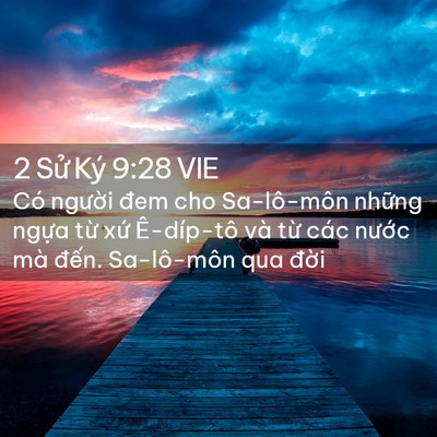 Picture 02 - 2 Sử Ký 9:28 VIE - Có người đem cho Sa-lô-môn những ngựa - Bible Verse Picture