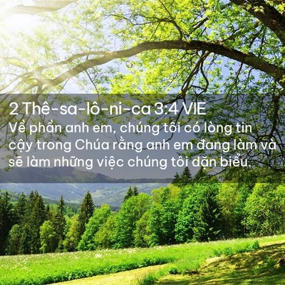 Picture 02 - 2 Thê-sa-lô-ni-ca 3:4 VIE - Về phần anh em, chúng tôi có lòng tin - Bible Verse Picture