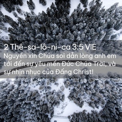Picture 02 - 2 Thê-sa-lô-ni-ca 3:5 VIE - Nguyền xin Chúa soi dẫn lòng anh em tới - Bible Verse Picture
