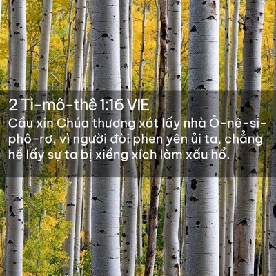 Picture 02 - 2 Ti-mô-thê 1:16 VIE - Cầu xin Chúa thương xót lấy nhà - Bible Verse Picture
