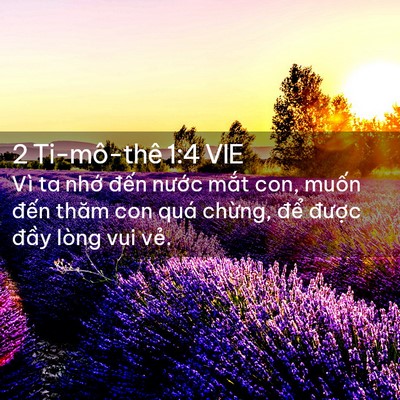 Picture 02 - 2 Ti-mô-thê 1:4 VIE - Vì ta nhớ đến nước mắt con, muốn - Bible Verse Picture