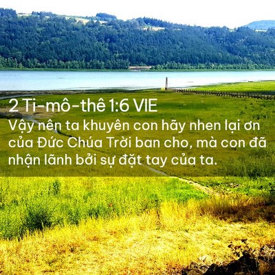 Picture 02 - 2 Ti-mô-thê 1:6 VIE - Vậy nên ta khuyên con hãy nhen lại ơn - Bible Verse Picture