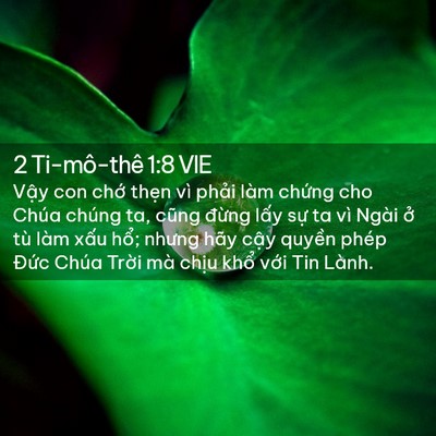 Picture 02 - 2 Ti-mô-thê 1:8 VIE - Vậy con chớ thẹn vì phải làm chứng - Bible Verse Picture