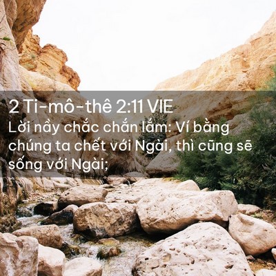 Picture 02 - 2 Ti-mô-thê 2:11 VIE - Lời nầy chắc chắn lắm: Ví bằng - Bible Verse Picture