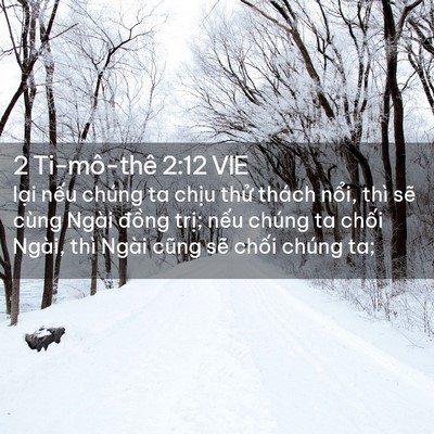Picture 02 - 2 Ti-mô-thê 2:12 VIE - lại nếu chúng ta chịu thử thách nổi, - Bible Verse Picture