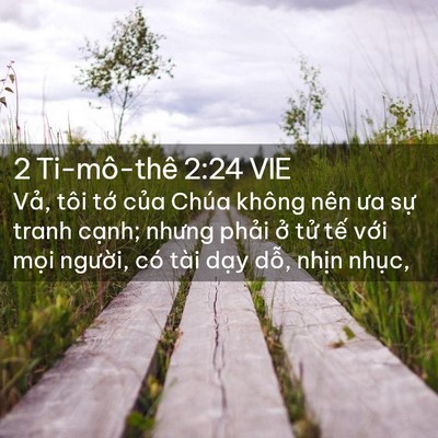 Picture 02 - 2 Ti-mô-thê 2:24 VIE - Vả, tôi tớ của Chúa không nên ưa sự - Bible Verse Picture