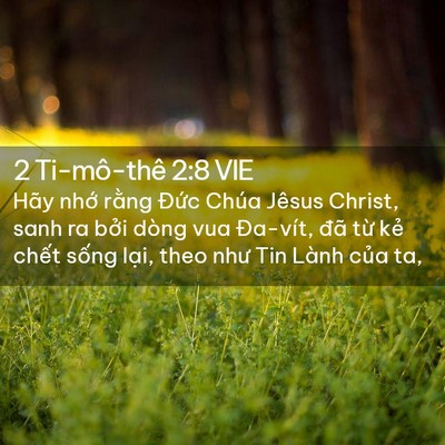 Picture 02 - 2 Ti-mô-thê 2:8 VIE - Hãy nhớ rằng Đức Chúa Jêsus Christ, - Bible Verse Picture