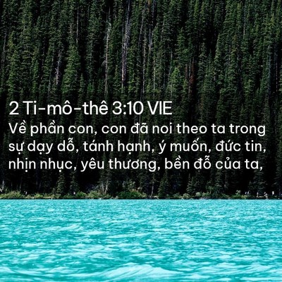 Picture 02 - 2 Ti-mô-thê 3:10 VIE - Về phần con, con đã noi theo ta trong sự - Bible Verse Picture
