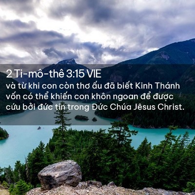 Picture 02 - 2 Ti-mô-thê 3:15 VIE - và từ khi con còn thơ ấu đã biết Kinh - Bible Verse Picture
