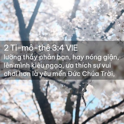 Picture 02 - 2 Ti-mô-thê 3:4 VIE - lường thầy phản bạn, hay nóng giận, - Bible Verse Picture