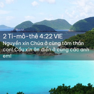 Picture 02 - 2 Ti-mô-thê 4:22 VIE - Nguyền xin Chúa ở cùng tâm thần con! - Bible Verse Picture