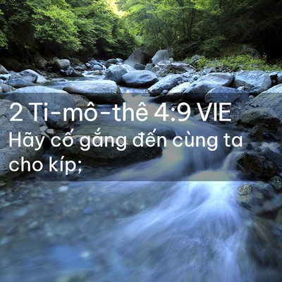 Picture 02 - 2 Ti-mô-thê 4:9 VIE - Hãy cố gắng đến cùng ta cho - Bible Verse Picture