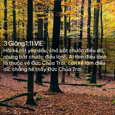 Picture 02 - 3 Giăng 1:11 VIE - Hỡi kẻ rất yêu dấu, chớ bắt chước - Bible Verse Picture