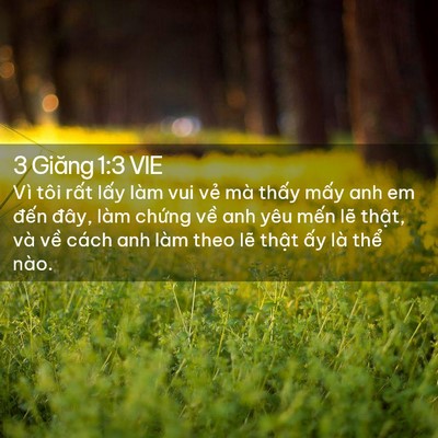 Picture 02 - 3 Giăng 1:3 VIE - Vì tôi rất lấy làm vui vẻ mà thấy - Bible Verse Picture