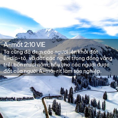 Picture 02 - A-mốt 2:10 VIE - Ta cũng đã đem các ngươi lên khỏi - Bible Verse Picture