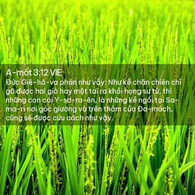 Picture 02 - A-mốt 3:12 VIE - Đức Giê-hô-va phán như vầy: Như kẻ - Bible Verse Picture