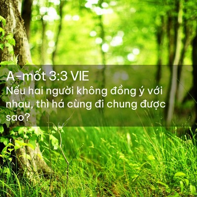 Picture 02 - A-mốt 3:3 VIE - Nếu hai người không đồng ý với nhau, - Bible Verse Picture