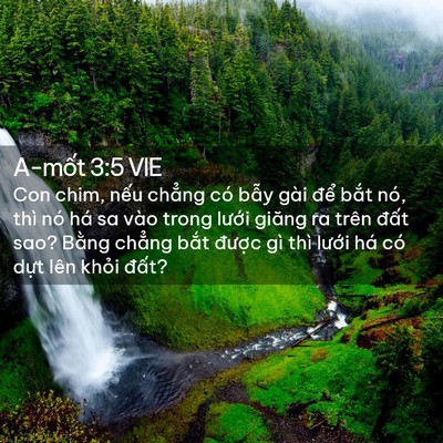 Picture 02 - A-mốt 3:5 VIE - Con chim, nếu chẳng có bẫy gài để - Bible Verse Picture