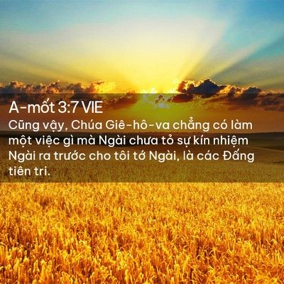 Picture 02 - A-mốt 3:7 VIE - Cũng vậy, Chúa Giê-hô-va chẳng có làm - Bible Verse Picture