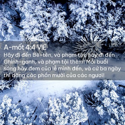 Picture 02 - A-mốt 4:4 VIE - Hãy đi đến Bê-tên, và phạm tội; hãy - Bible Verse Picture
